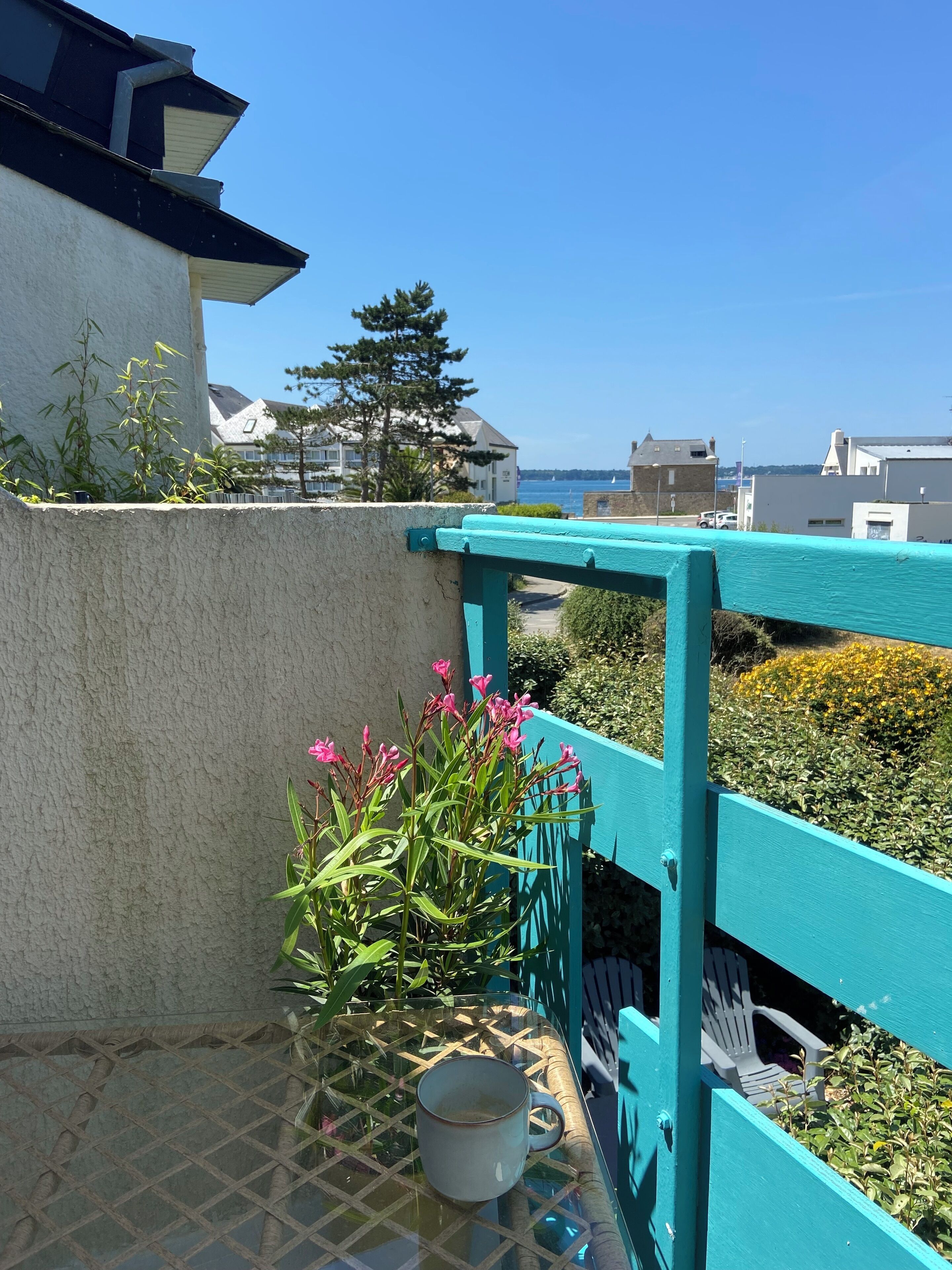 En balkong med utsikt över havet, en krukväxt med rosa blommor och ett glasbord med en mugg på.
