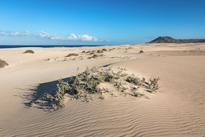 Beach - Home2Book Casa Kiky - Cosy Villa with Jacuzzi (La Oliva)