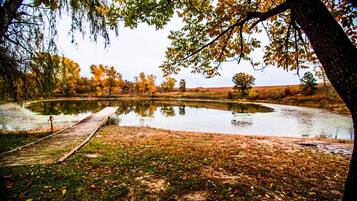 A serene lakeside scene with a wooden dock extending into the water, surrounded by trees with autumn foliage.