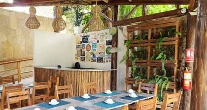 aquamare bungalows zorritos