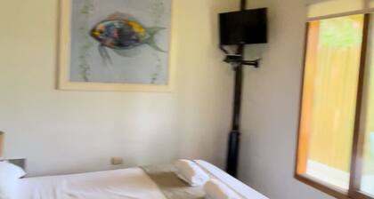 aquamare bungalows zorritos