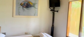 aquamare bungalows zorritos