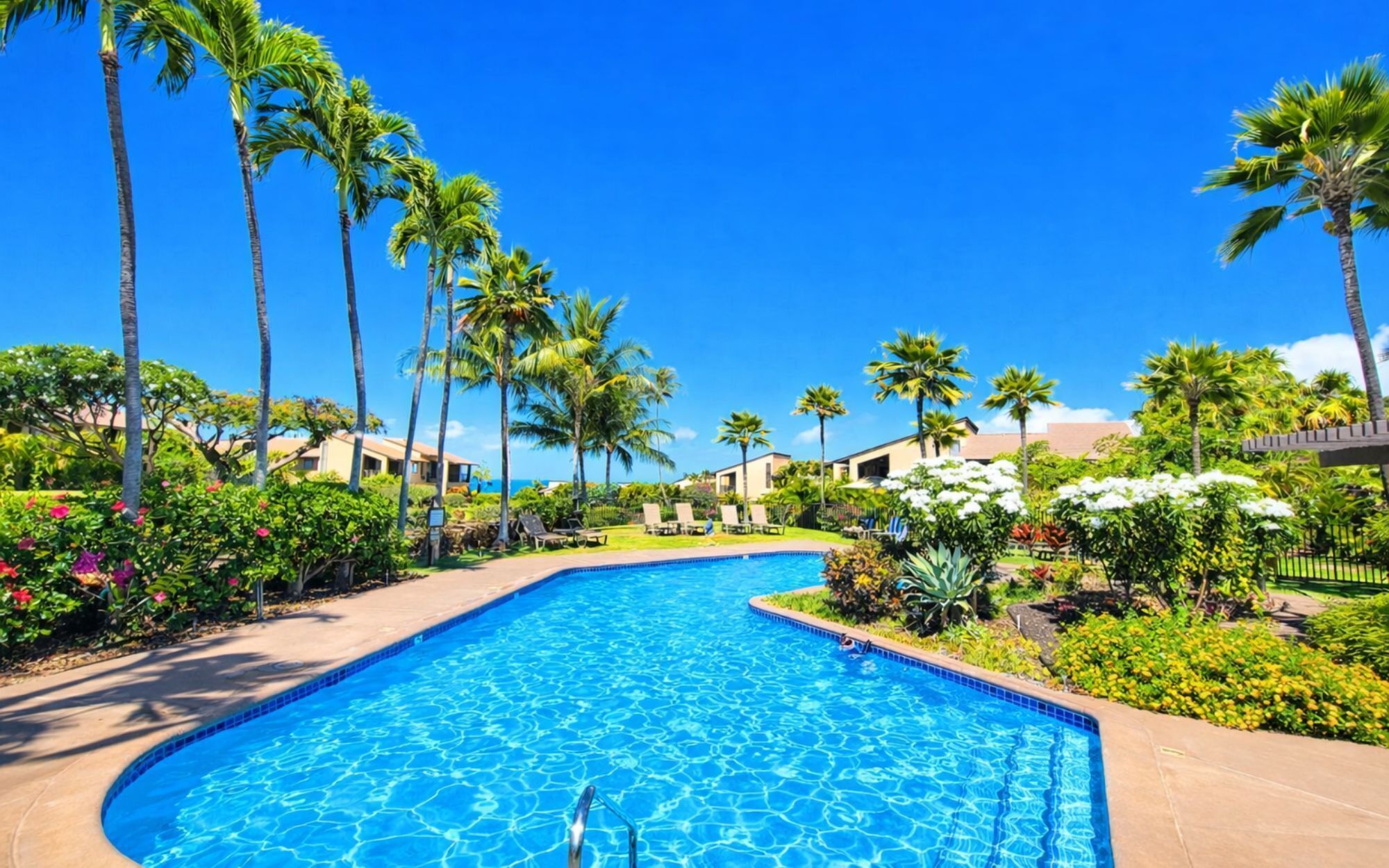 Appart'hôtel (1 Bedroom) | Piscine