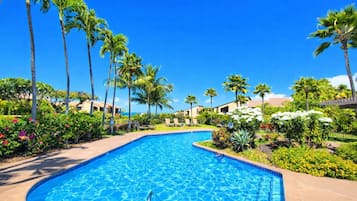 Condo (1 Bedroom) | Pool