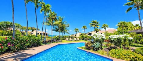 Condo (1 Bedroom) | Pool | Outdoor pool, pool umbrellas, pool loungers