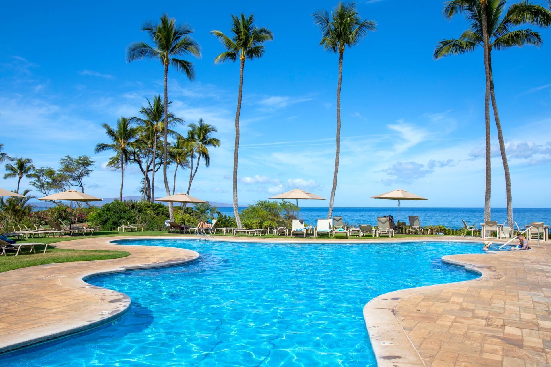 Condo (1 Bedroom) | Pool | Outdoor pool, pool umbrellas, pool loungers