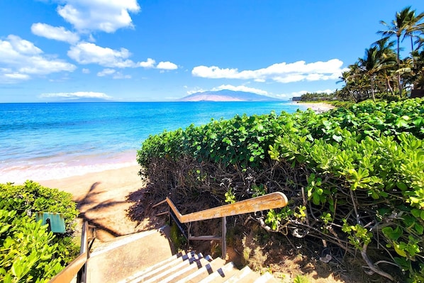 Appart'hôtel (1 Bedroom) | Plage