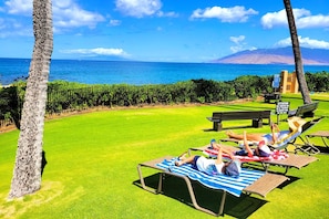 Appart'hôtel (1 Bedroom) | Plage