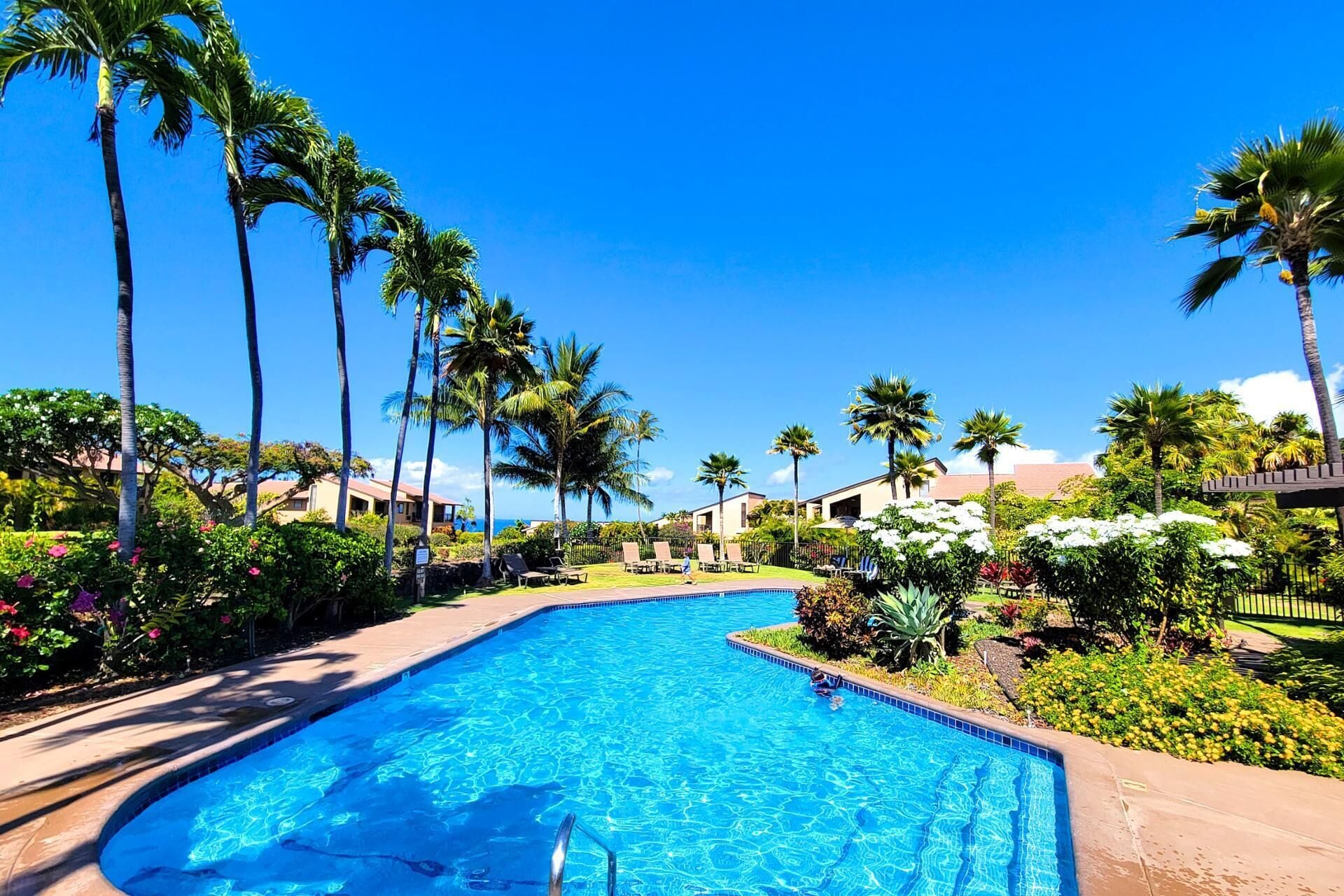 Apartment (1 Bedroom) | Pool