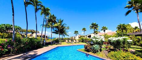 Apartment (1 Bedroom) | Pool