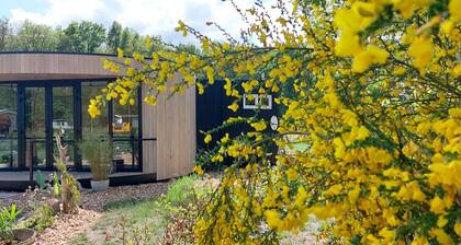 Familiecamping de Reeënwissel - Luxe lodge 55