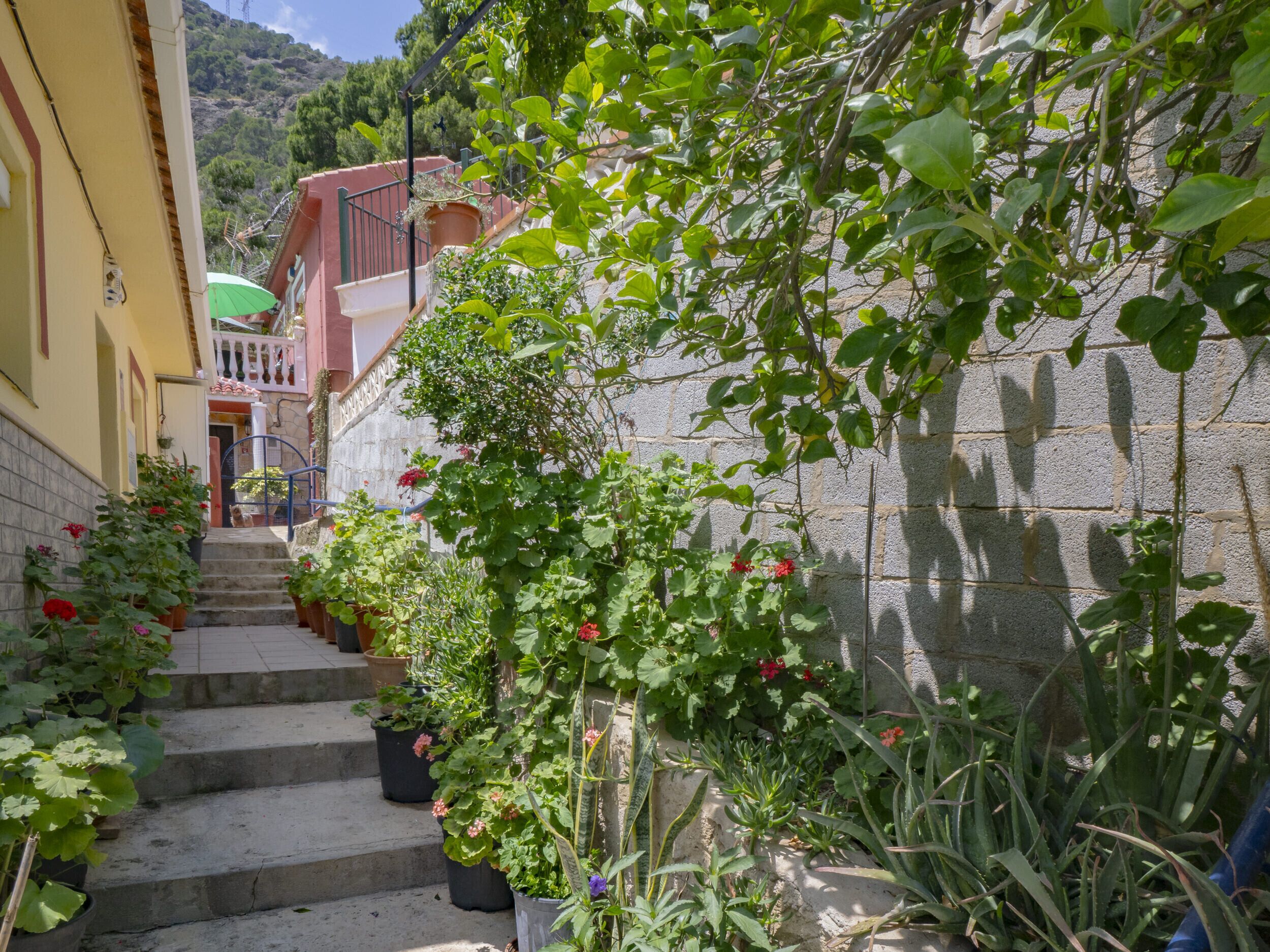 Jardines del alojamiento