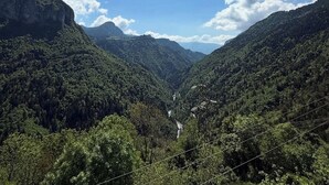 Un paysage montagneux, avec de vastes forêts verdoyantes et un ciel dégagé.