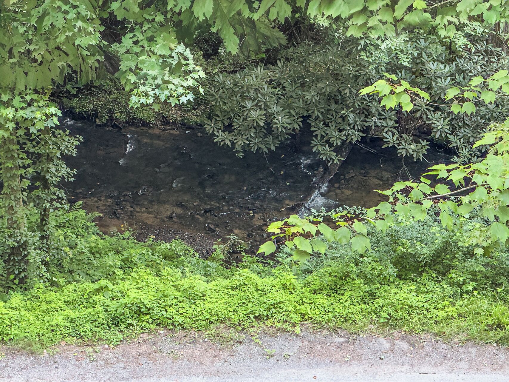 A natural landscape with a rocky cliff and a stream flowing over it.