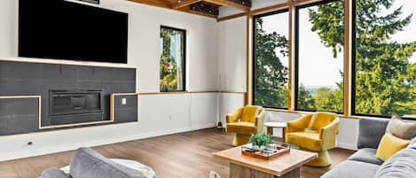 TV, fireplace