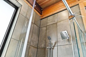 Shower, hair dryer