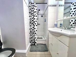 Shower, hair dryer