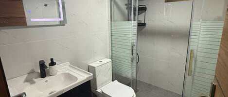 A modern bathroom with a glass-enclosed shower, a white toilet, and a vanity with a mirror.