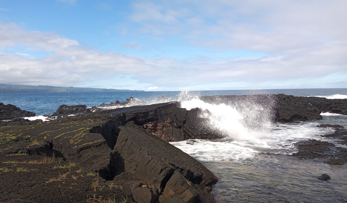 Imagen de perfil del propietario o de la propietaria