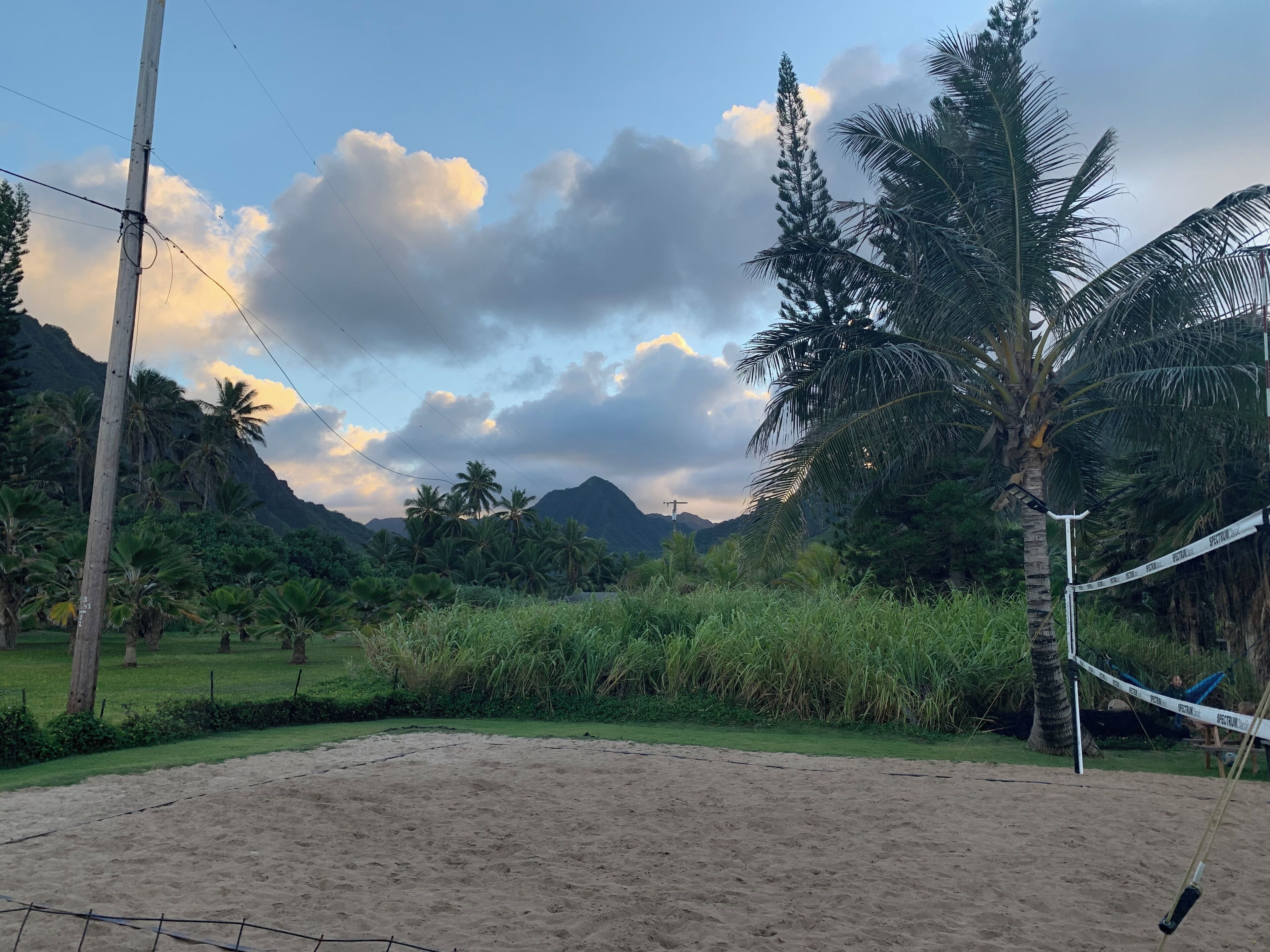 Una zona de playa arenosa con una red de voleibol, palmeras y montañas al fondo.