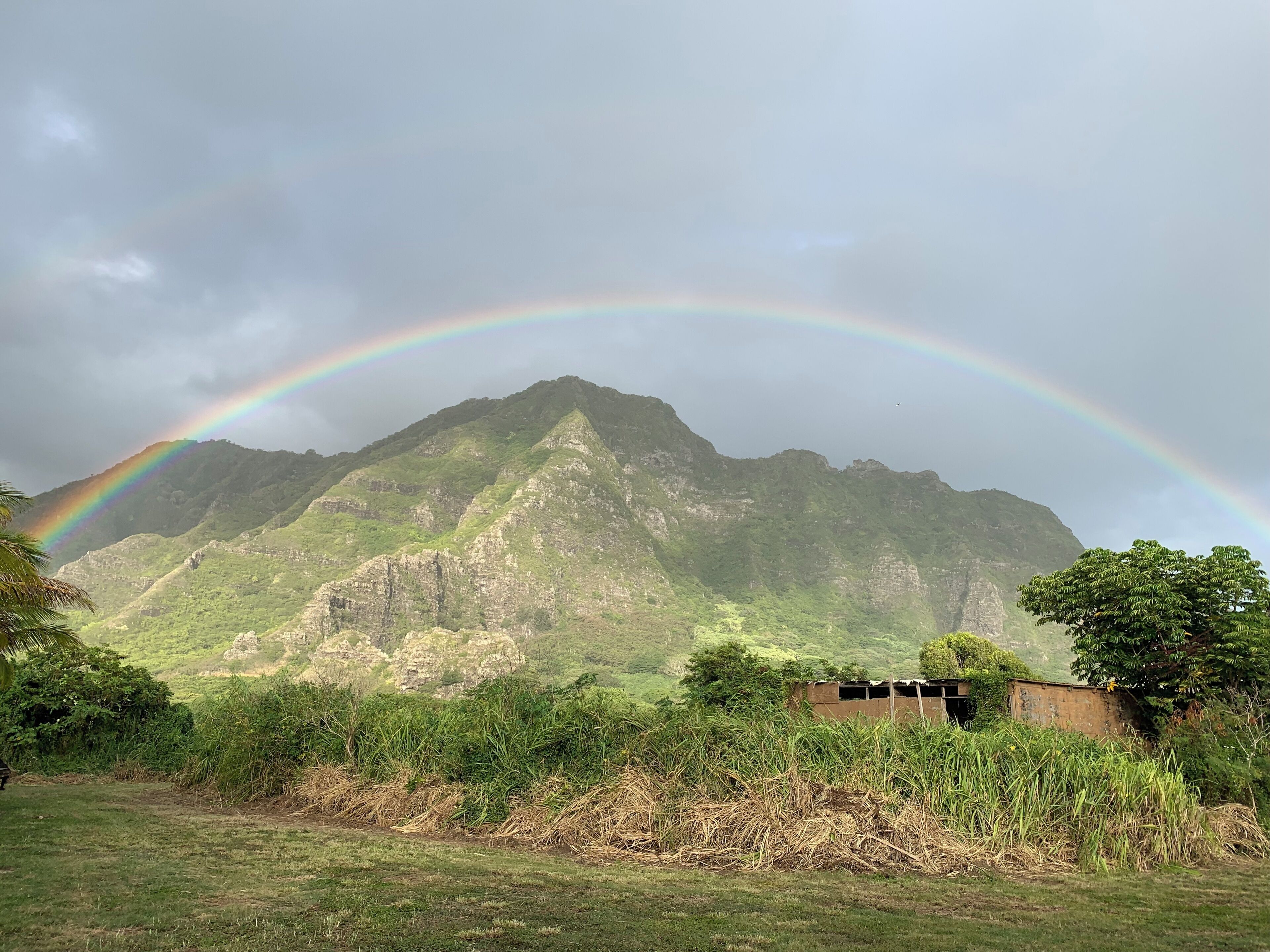 A mountain with a rainbow arching over it, surrounded by greenery and a small structure.