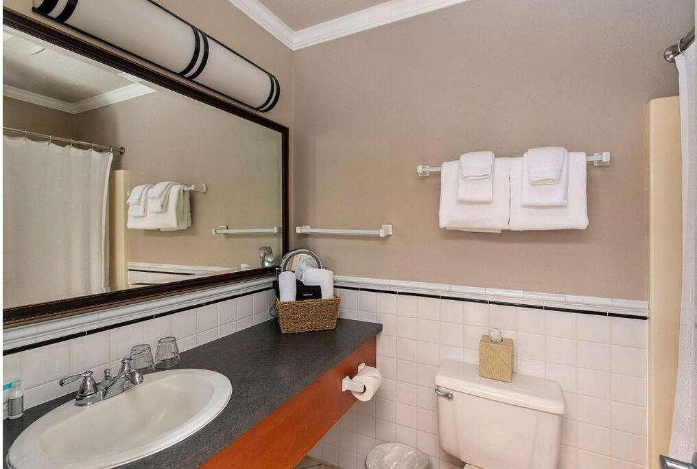 Hair dryer, towels