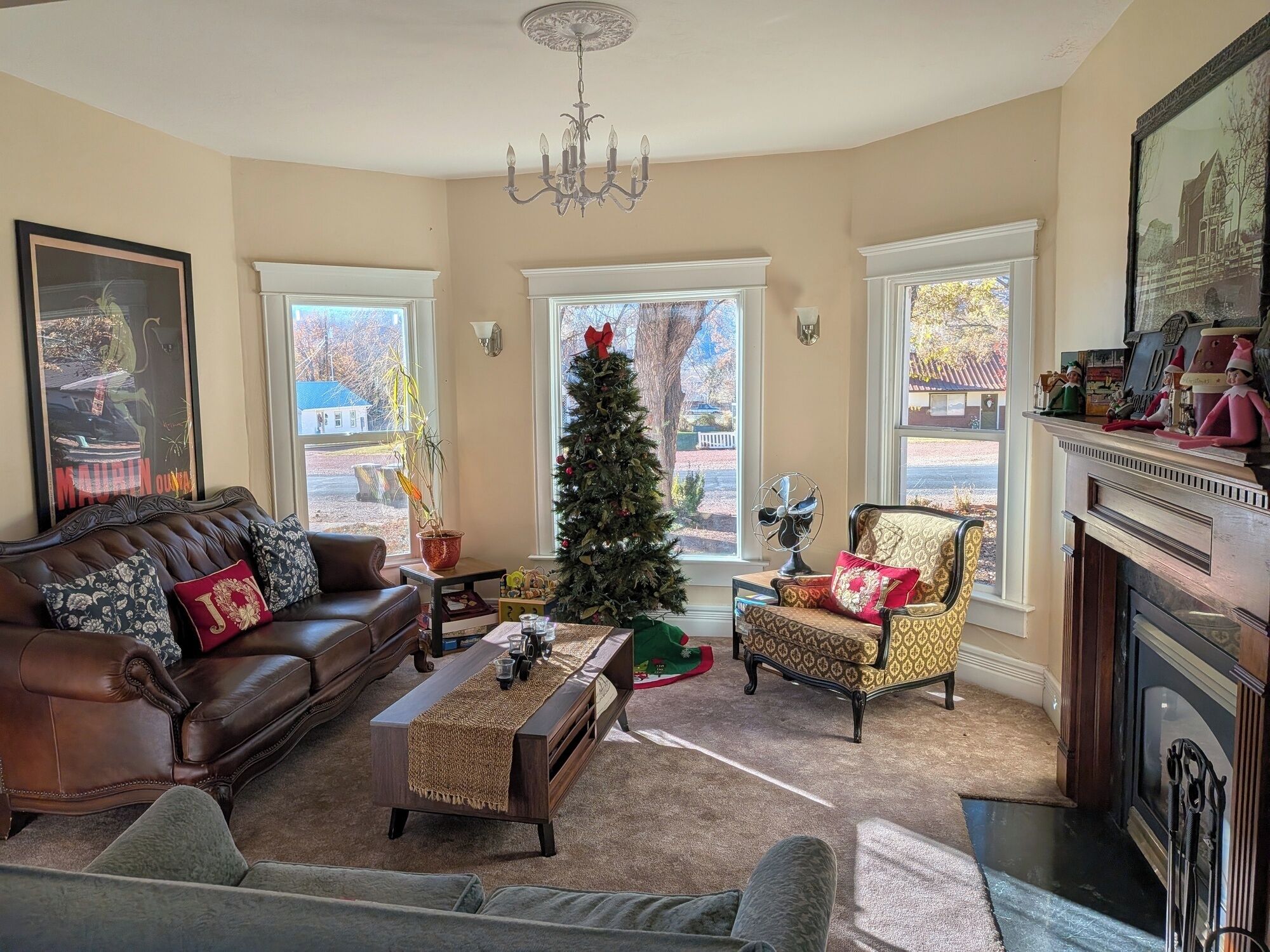 TV, fireplace, DVD player, books