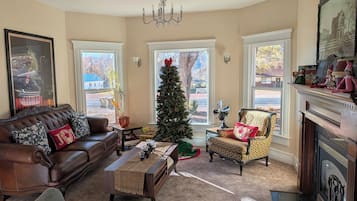 TV, fireplace, DVD player, books