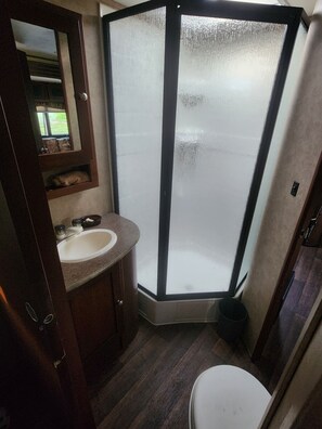 Shower, towels, toilet paper