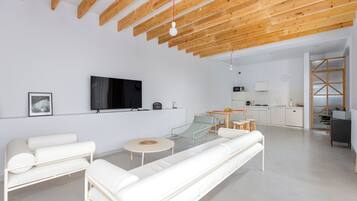 Smart TV, fireplace, books, computer monitors