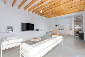 Smart TV, fireplace, books, computer monitors