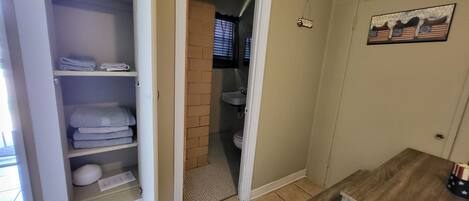 Regadera, toallas, jabón, papel de baño