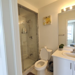 Shower, hair dryer, towels, soap