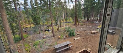 A view from a window overlooking a forested area with a wooden deck and picnic table.