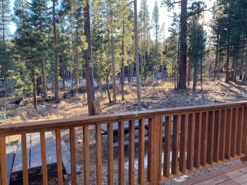 Luxury 1-Bedroom Suite Downtown, Free Breakfast