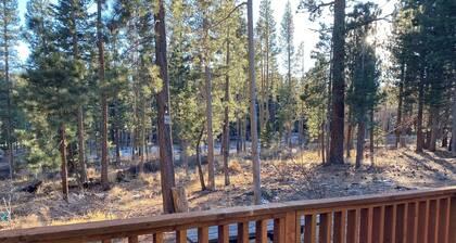 Luxury 1-Bedroom Suite Downtown, Free Breakfast