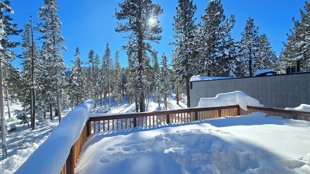 A snow-covered deck with a wooden railing, surrounded by tall evergreen trees and a clear blue sky. - 2 Queen Suite, Huge Deck, Free Breakfast! (Mammoth Lakes)