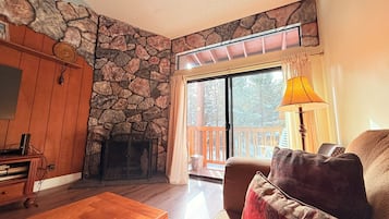 TV, fireplace, DVD player, books