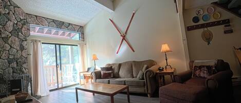 Televisor, llar de foc, reproductor de DVD i llibres