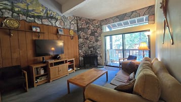 TV, fireplace, DVD player, books