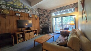 TV, fireplace, DVD player, books