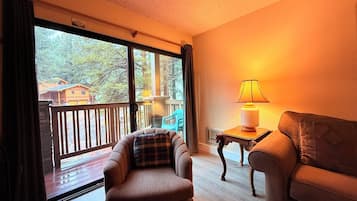 TV, fireplace, DVD player, books