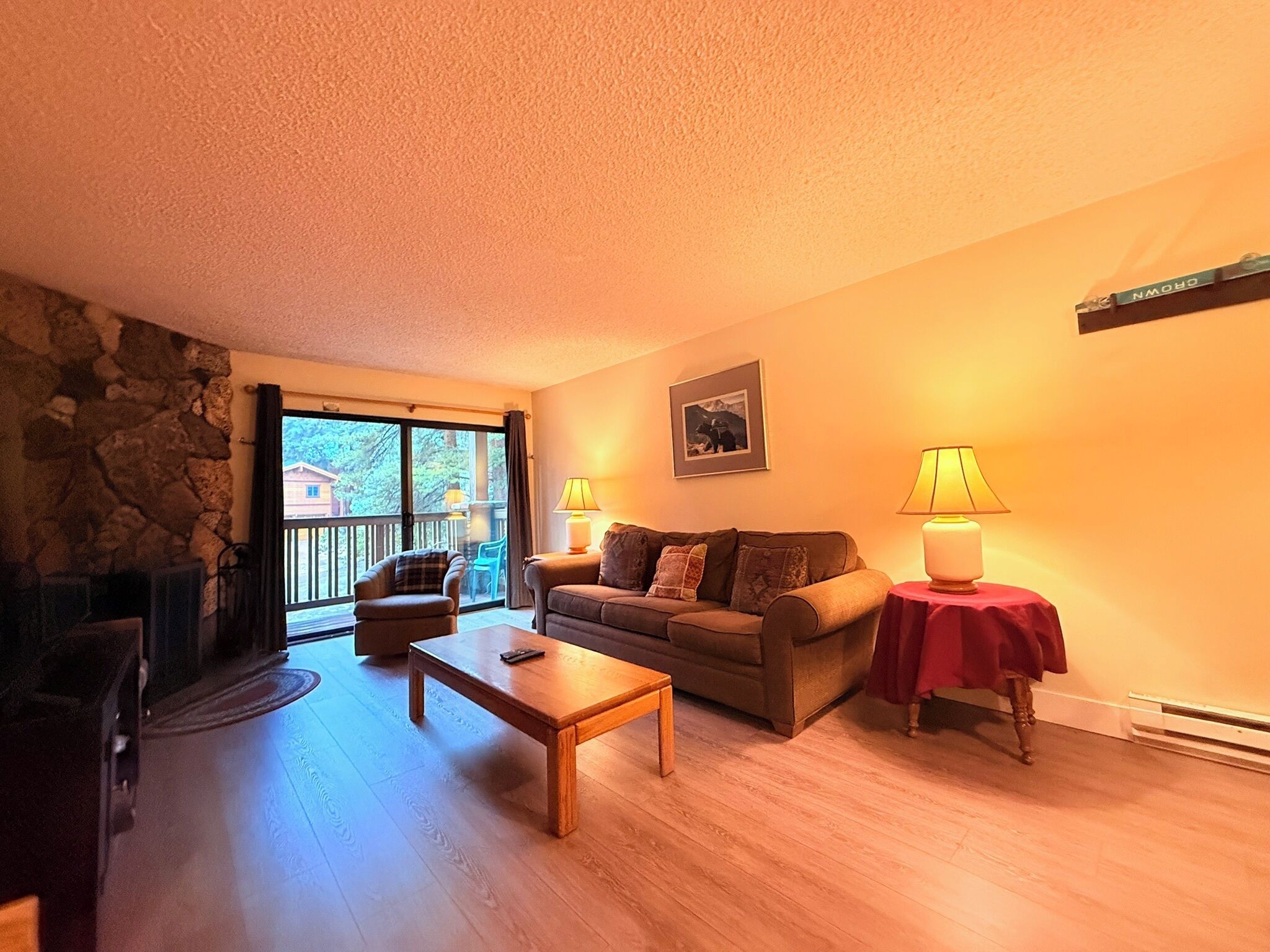 TV, fireplace, DVD player, books