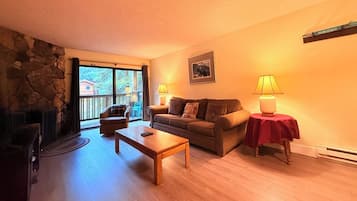 TV, fireplace, DVD player, books