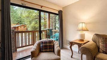 TV, fireplace, DVD player, books