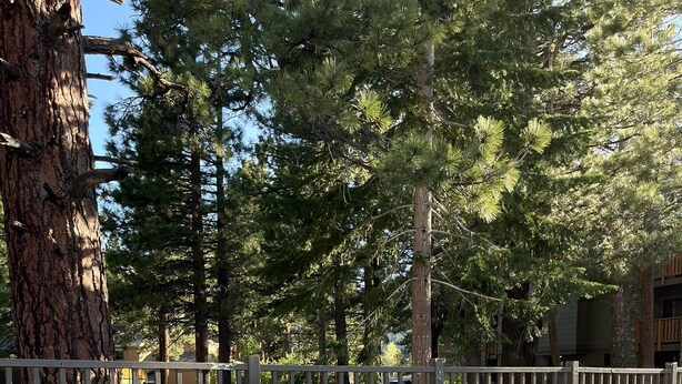 Un área de parrilla al aire libre con paredes de piedra y un cartel que explica las normas para usar la parrilla.