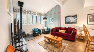 TV, fireplace, DVD player, books