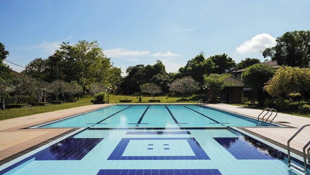 Una piscina rectangular con agua azul cristalina, rodeada por un solárium con baldosas y árboles.