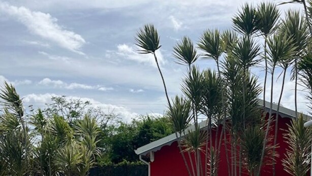 A swimming pool with a red building in the background, surrounded by palm trees and a white fence. - BUNGALOW GRENADE (Saint-François)