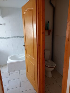 Regadera, secadora de cabello, papel de baño